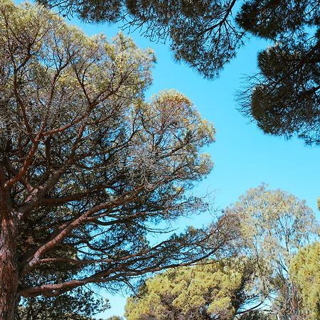Camping Ladouceur Ramatuelle Εξωτερικό φωτογραφία