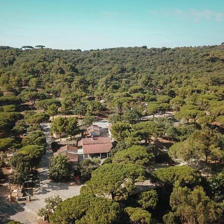 Camping Ladouceur Ramatuelle Εξωτερικό φωτογραφία