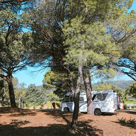 Camping Ladouceur Ramatuelle Εξωτερικό φωτογραφία