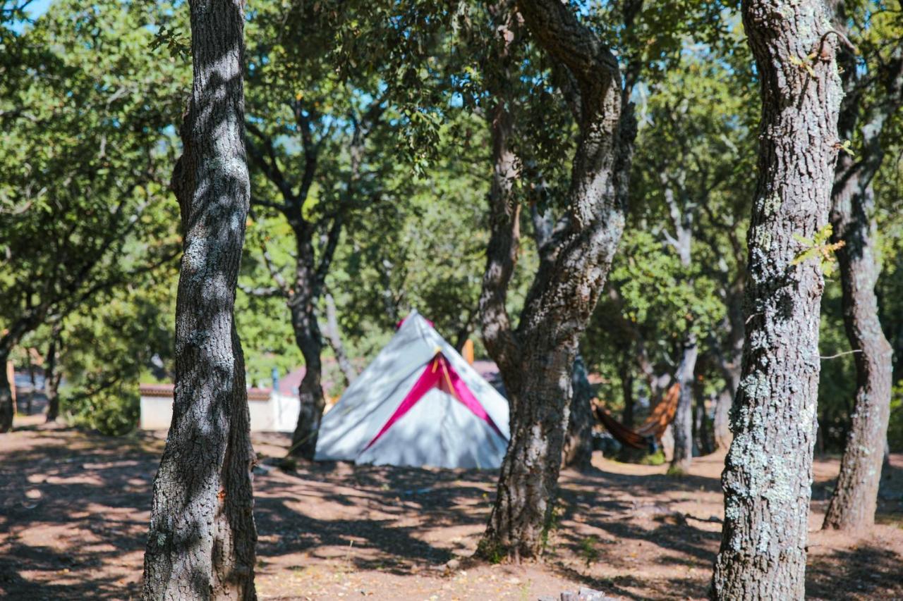 Camping Ladouceur Ramatuelle Εξωτερικό φωτογραφία