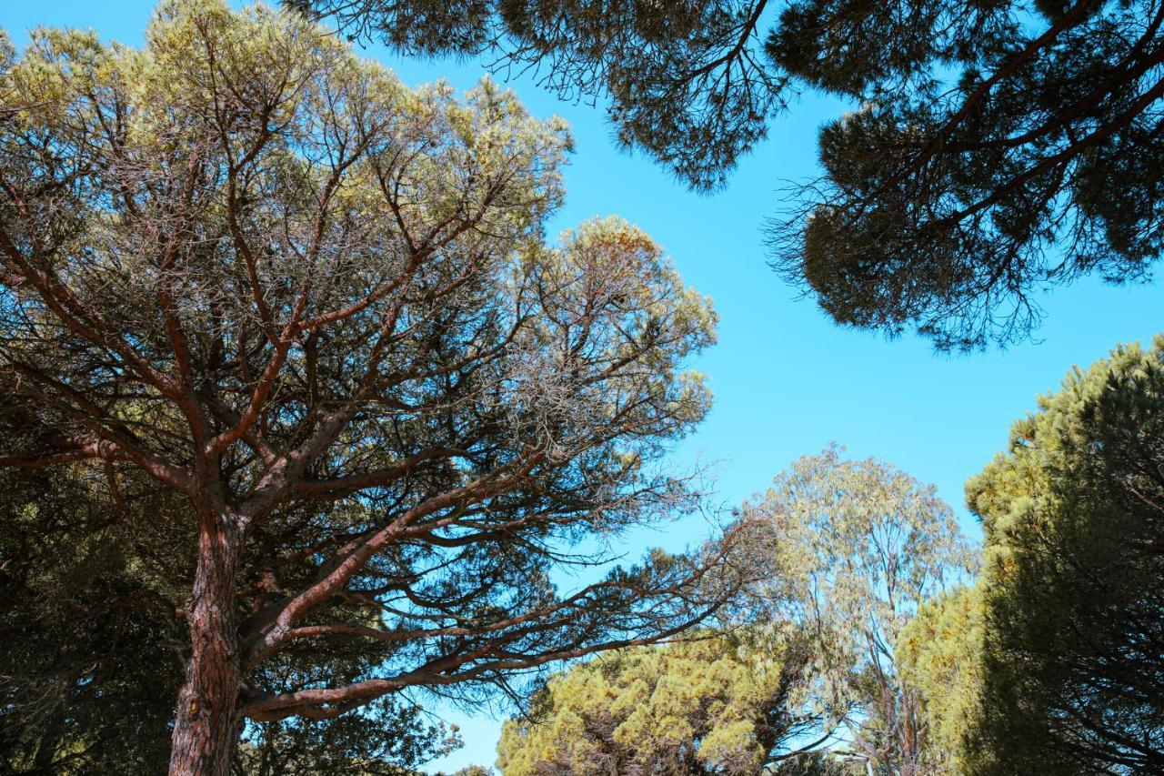Camping Ladouceur Ramatuelle Εξωτερικό φωτογραφία