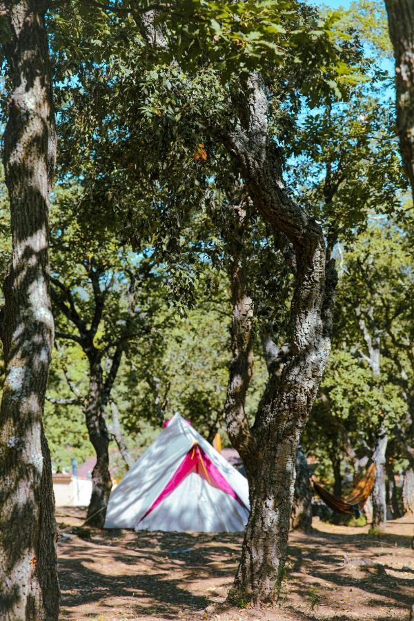Camping Ladouceur Ramatuelle Εξωτερικό φωτογραφία