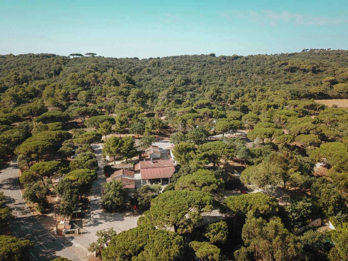 Camping Ladouceur Ramatuelle Εξωτερικό φωτογραφία