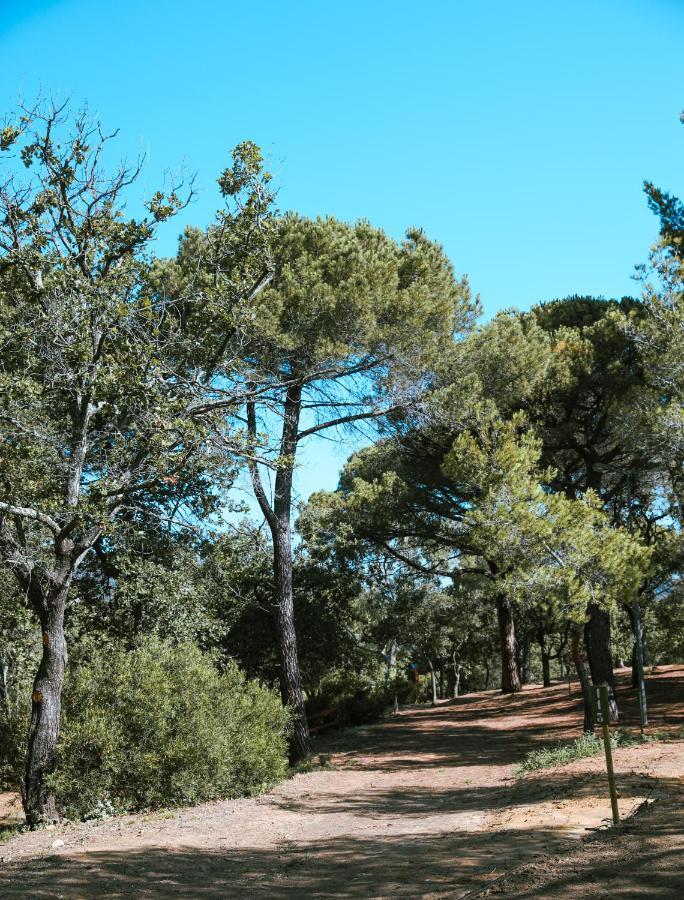 Camping Ladouceur Ramatuelle Εξωτερικό φωτογραφία