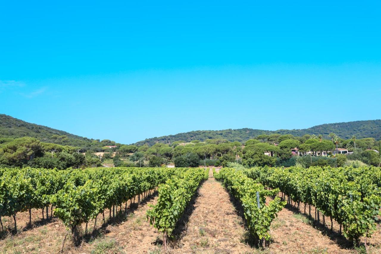 Camping Ladouceur Ramatuelle Εξωτερικό φωτογραφία