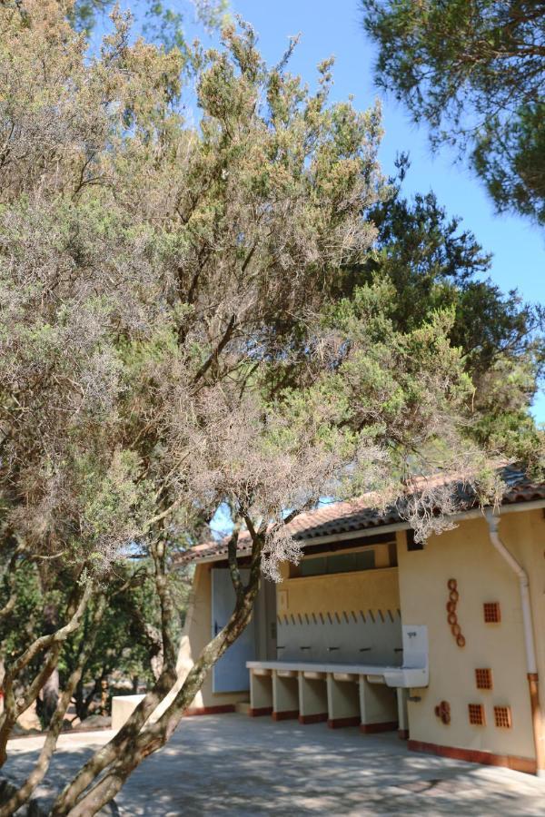 Camping Ladouceur Ramatuelle Εξωτερικό φωτογραφία