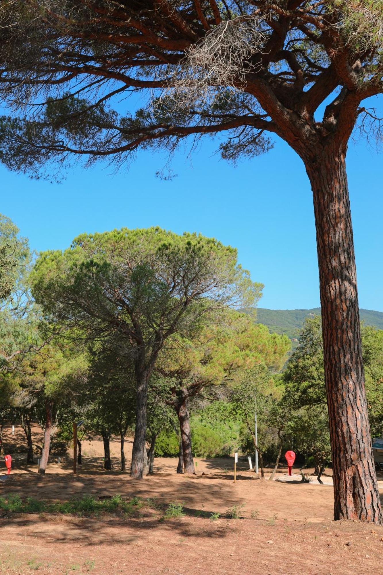 Camping Ladouceur Ramatuelle Εξωτερικό φωτογραφία
