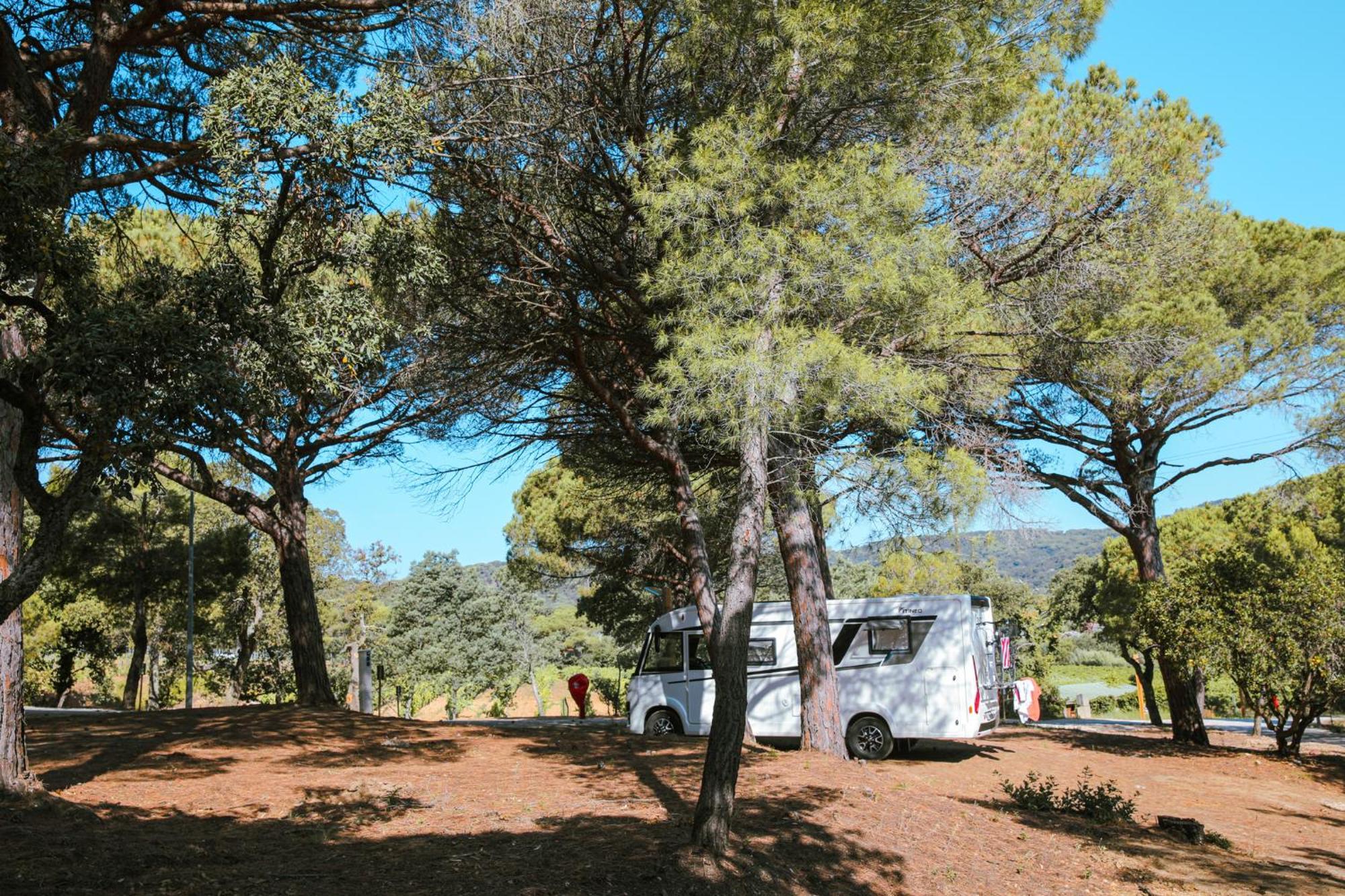 Camping Ladouceur Ramatuelle Εξωτερικό φωτογραφία